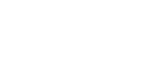 Logo da Alsa Fort